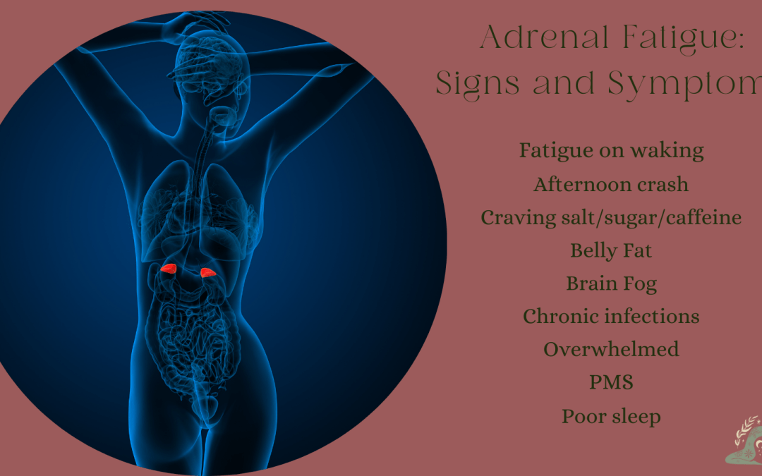 Top tips to restore balanced adrenal function, reduce stress & improve energy levels