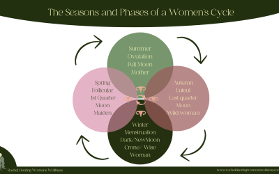 The Seasons of a Women’s Cycle